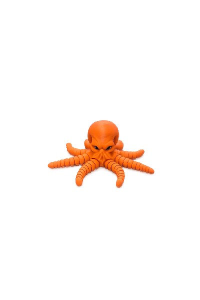 Octopus