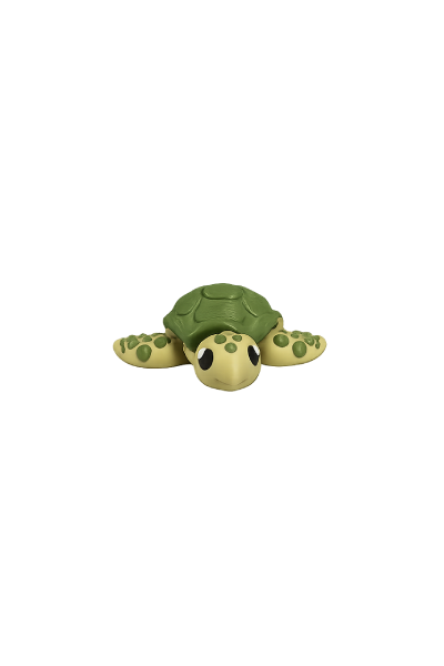 Sea Turtle